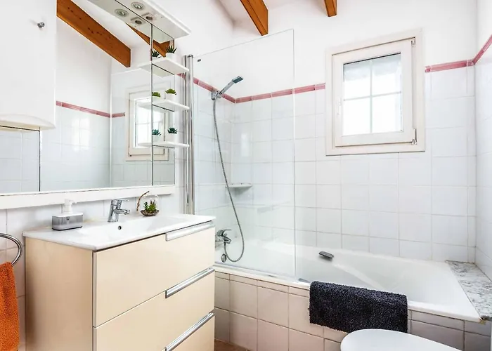 Mimosa بينيبيكا