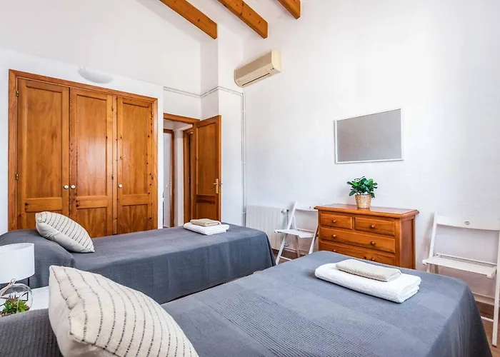 Mimosa بينيبيكا